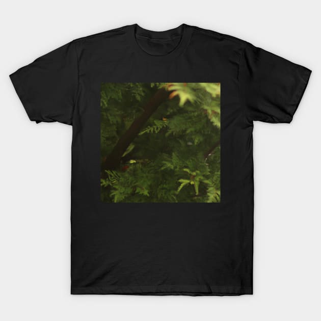 rain fantasy garden T-Shirt by tearbytea